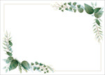 淡彩植物边框