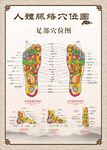 人体穴位图