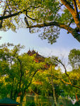 城隍阁