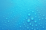 露水露珠水珠图片背景