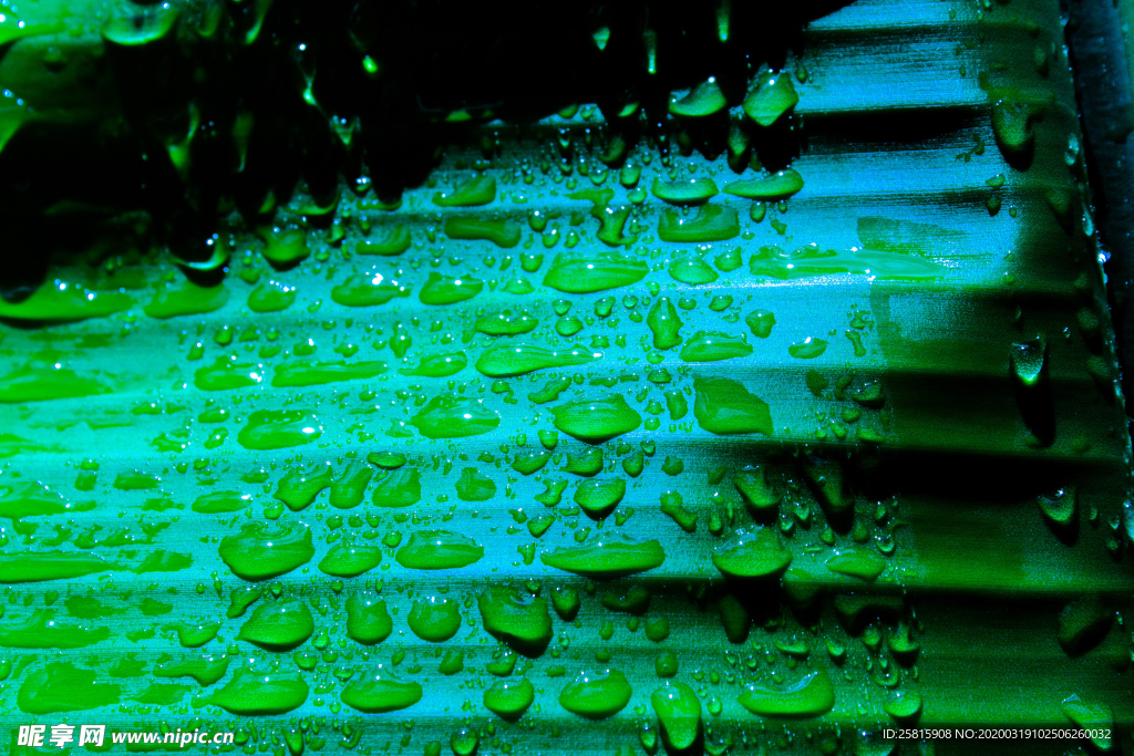 露水露珠水珠图片背景