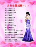 为什么要减肥