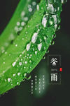 谷雨