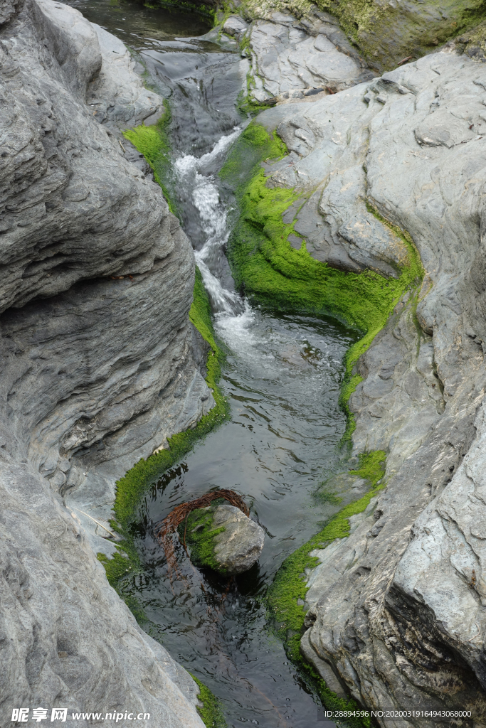 苔 石 性质 河 河道 水域