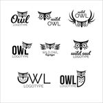 教育猫头鹰logo标志