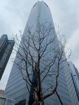 高楼 城市 繁华