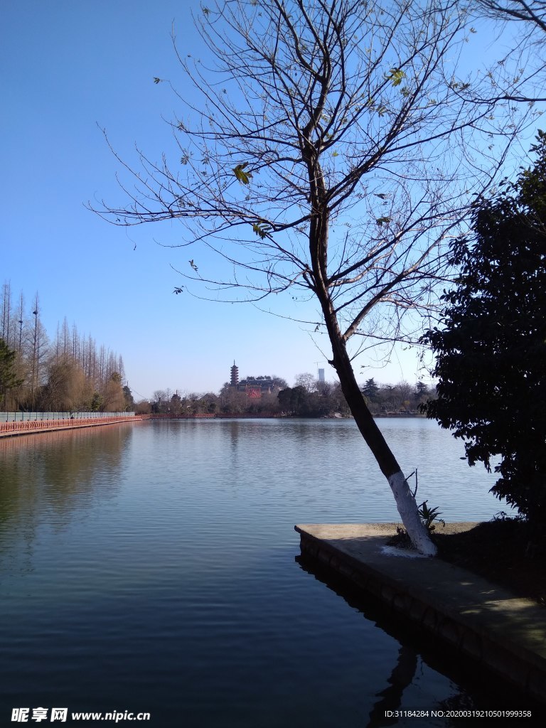 风景