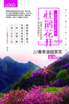 春季赏花