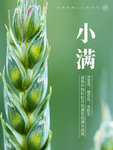 小满