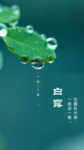 白露