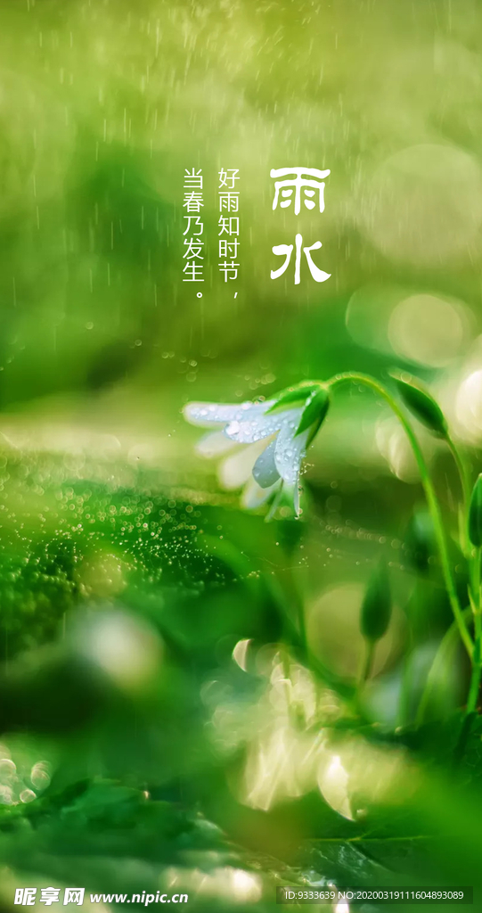 雨水