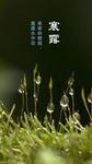 寒露
