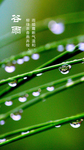 谷雨