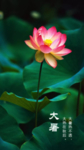 大暑