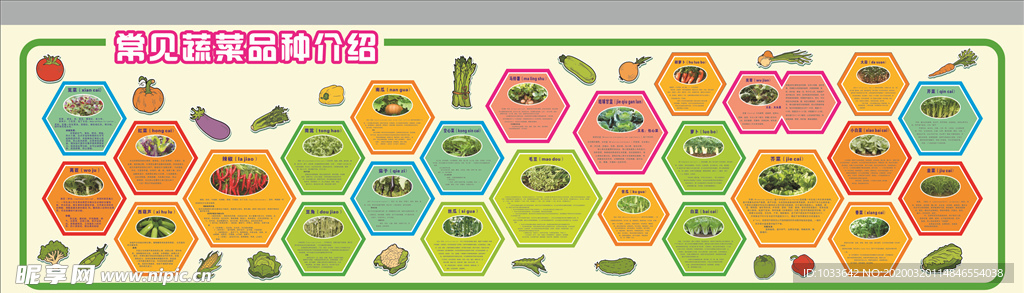 常见蔬菜介绍