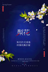 梨花