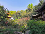 黄龙洞