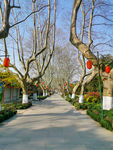 黄龙洞