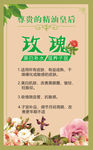 汗蒸 玫瑰