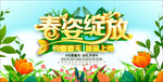 春资绽放