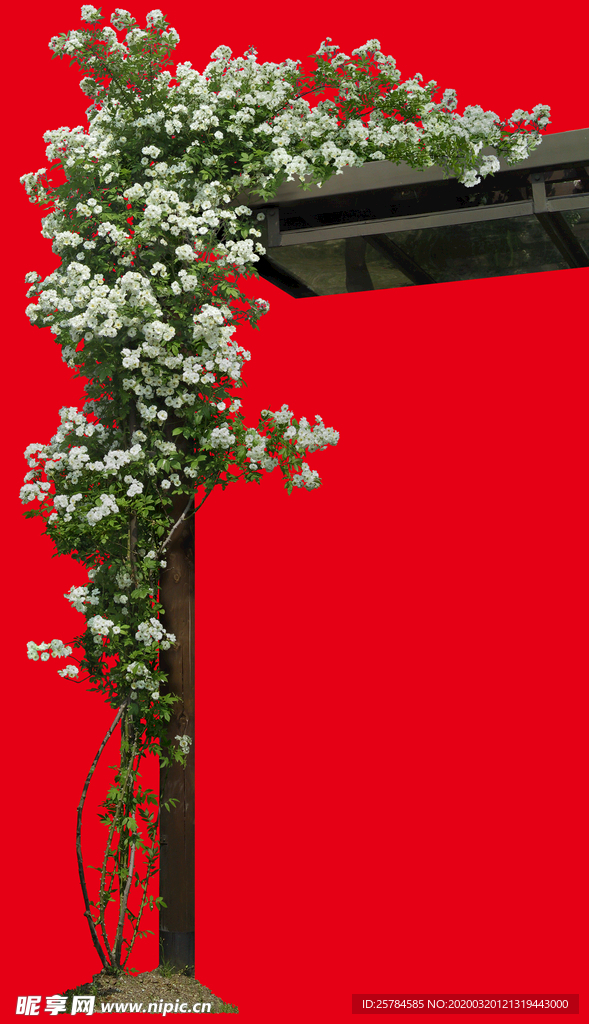 分层花