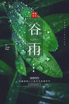 谷雨