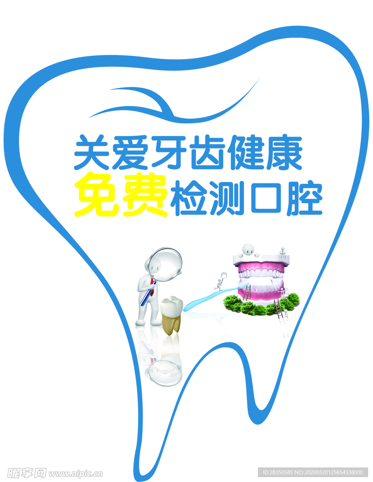 牙齿形状