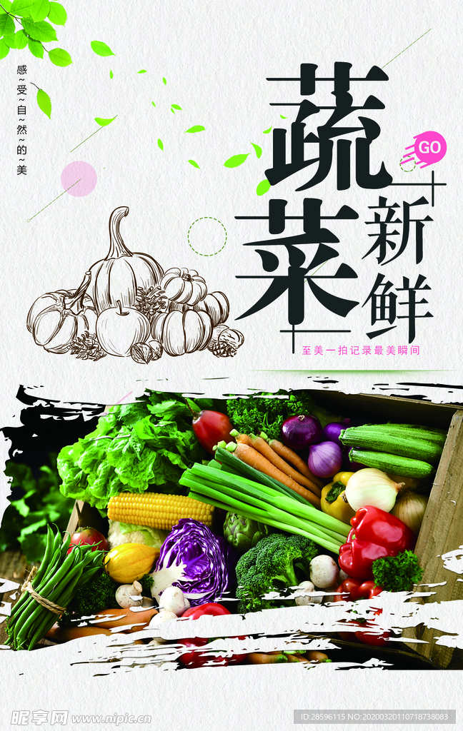 蔬菜