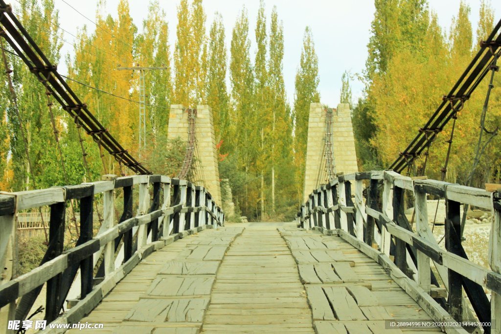 自然 桥 景观 冬天 旅程 走
