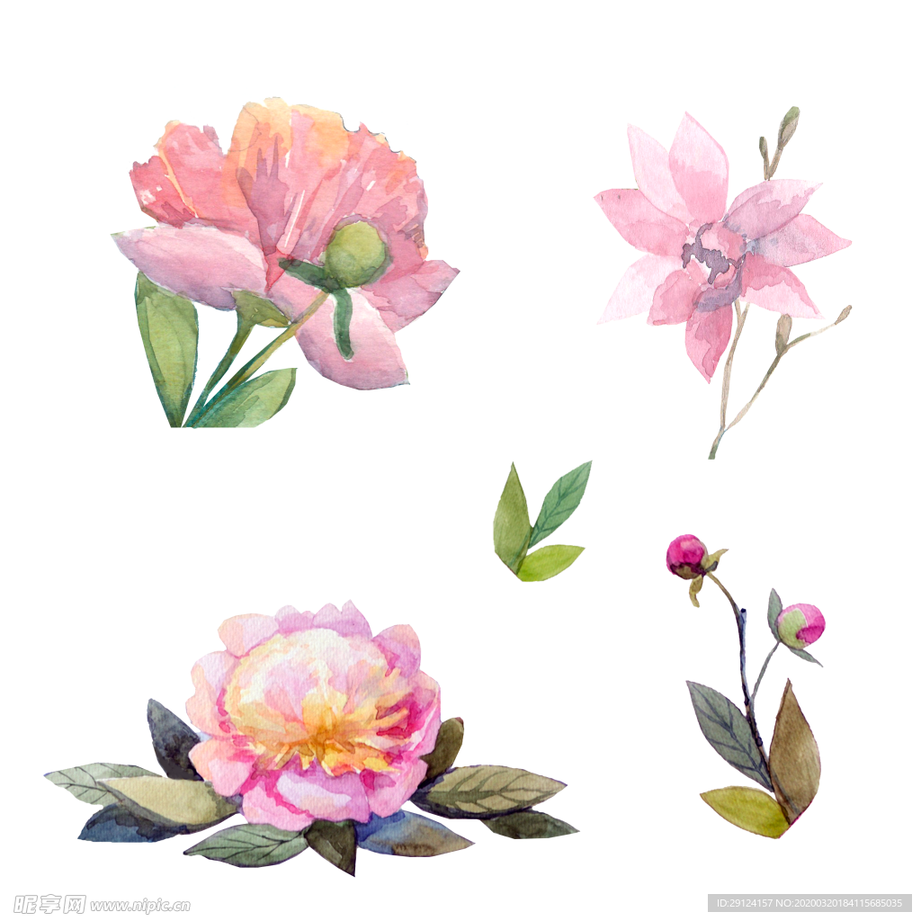 手绘花瓣