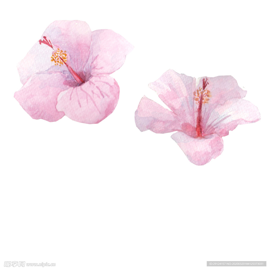 手绘花瓣