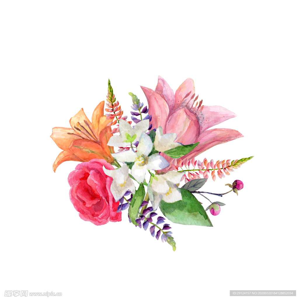 手绘花瓣