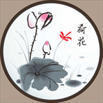 荷花