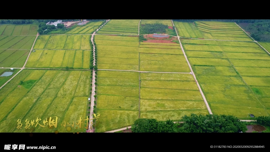 背景 图 艺术 情感 情感语录