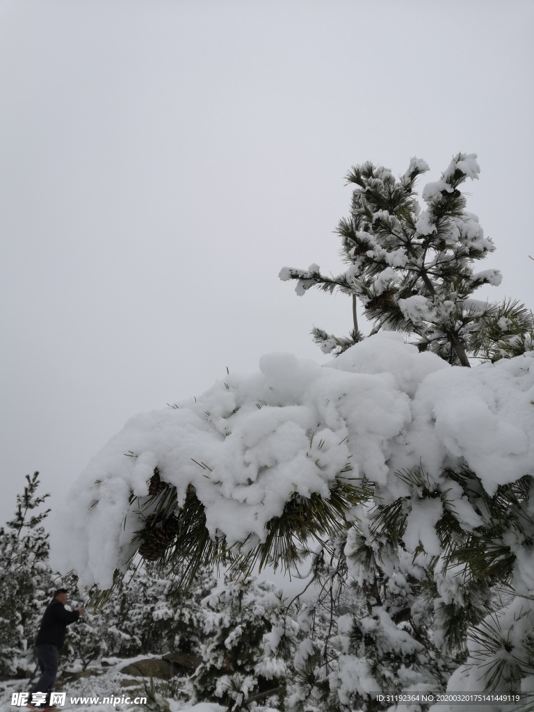 春雪