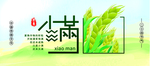 小满