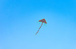 自由飞翔的风筝