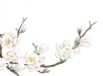 花