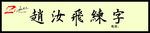 赵汝飞练字