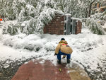 玩雪的小孩