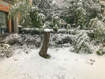 雪景