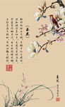 兰花
