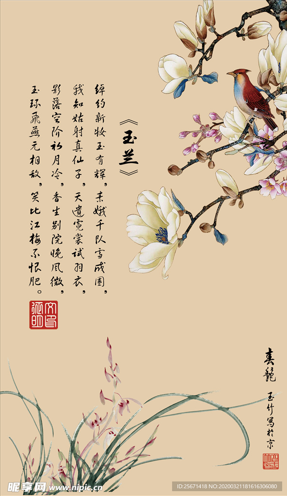 兰花