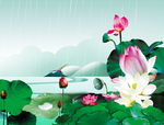 荷花