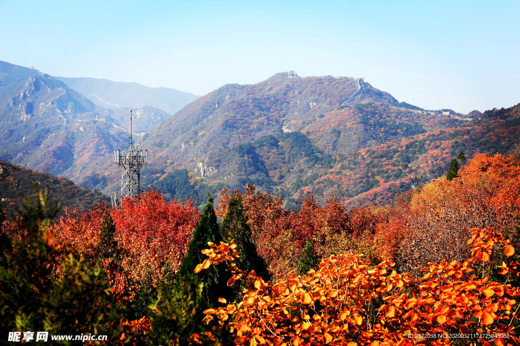 金秋山岭