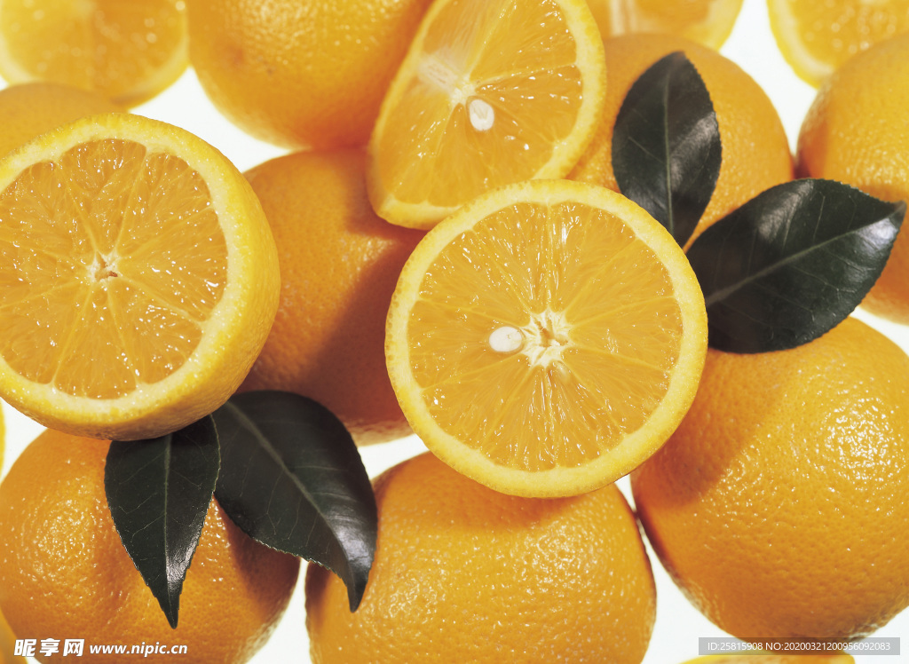 橘子橙子柑橘柚子图片