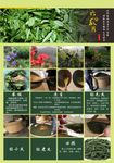 六安瓜片 茶叶 海报