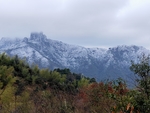 雪景