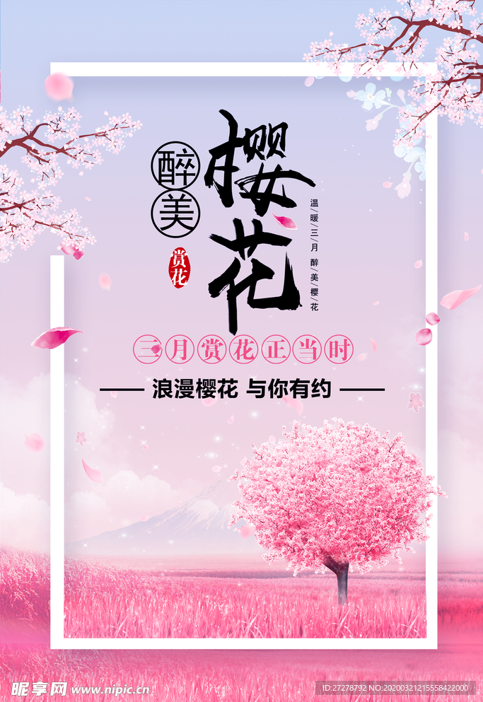 樱花节