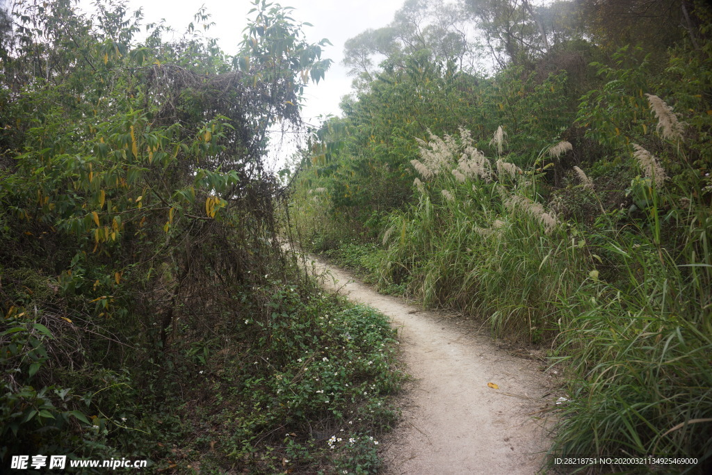 山间小路